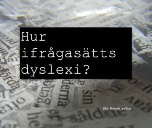 Skärmavbild 2025 10 27 kl. 20.00.55